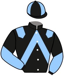 casaque portée par Croisic Mme Est. jockey du cheval de course JACADI DE PEBRAC, information pmu ZETURF