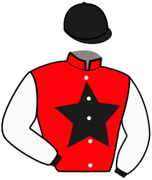 casaque portée par Voisin A. jockey du cheval de course JOULE DE LA FYE, information pmu ZETURF