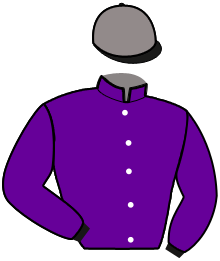casaque portée par Pojasek R. jockey du cheval de course LE BIBI DAIRPET, information pmu ZETURF