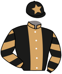 casaque portée par Reveley J. jockey du cheval de course ILLAHO, information pmu ZETURF