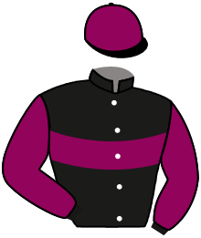 casaque portée par Dumouch Th. jockey du cheval de course BAKARELO, information pmu ZETURF