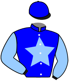 casaque portée par Le Clerc B. jockey du cheval de course DIAMOND'S SAGA, information pmu ZETURF