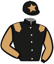 casaque portée par Le Clerc Val. jockey du cheval de course RAF TAVEL, information pmu ZETURF