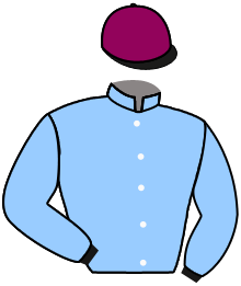 casaque portée par Dumouch Th. jockey du cheval de course SPILOU, information pmu ZETURF