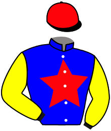 casaque portée par Marchand Bas. jockey du cheval de course JUNGLE SEA, information pmu ZETURF