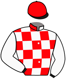 casaque portée par Gallo Mlle L. jockey du cheval de course LOVE THE STARS, information pmu ZETURF