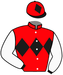 casaque portée par Plommee Léo. jockey du cheval de course SEMEUR, information pmu ZETURF