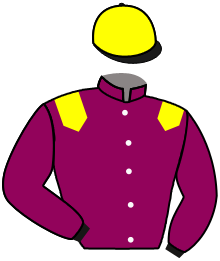 casaque portée par Moutard Jer. jockey du cheval de course MAESTRO CHOP, information pmu ZETURF