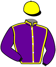 casaque portée par Boutin Hug. jockey du cheval de course BAILEYS ECLAIR, information pmu ZETURF