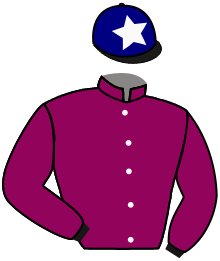 casaque portée par Piccone T. jockey du cheval de course INCA MAN, information pmu ZETURF