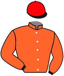 casaque portée par Favriaux Mal. jockey du cheval de course AVANT L'ORAGE, information pmu ZETURF