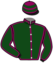 casaque portée par Mendizabal I. jockey du cheval de course LE PROFESSIONNEL, information pmu ZETURF