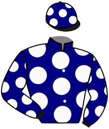 casaque portée par Gauvin M. jockey du cheval de course IDAYA SOMOLLI, information pmu ZETURF