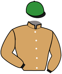 casaque portée par Sorel J. Ch. jockey du cheval de course LAGON BLEU, information pmu ZETURF