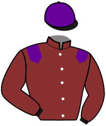 casaque portée par Lamaziere L. jockey du cheval de course LABEL DU MONT, information pmu ZETURF