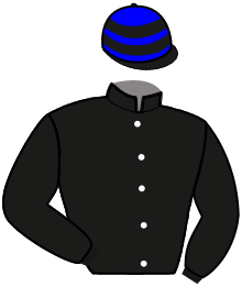 casaque portée par Goetz Lou. jockey du cheval de course IRINA DU GLAY, information pmu ZETURF