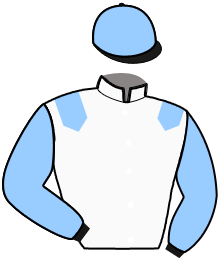 casaque portée par D'esparbes M. jockey du cheval de course JAZZ LINOIS, information pmu ZETURF
