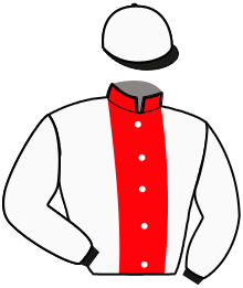casaque portée par Oyer Mlle S. jockey du cheval de course HYPTIS, information pmu ZETURF