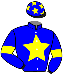 casaque portée par Metzemaekers Mme I. jockey du cheval de course HOLY ROMAN EMPEROR, information pmu ZETURF