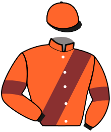 casaque portée par Bridault N. jockey du cheval de course MAESTRO DU CHOQUEL, information pmu ZETURF