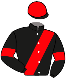 casaque portée par Piton Lou. jockey du cheval de course JOKE DU HOUSSEL, information pmu ZETURF