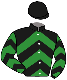 casaque portée par Cook T. jockey du cheval de course HADRIEN MERITE, information pmu ZETURF