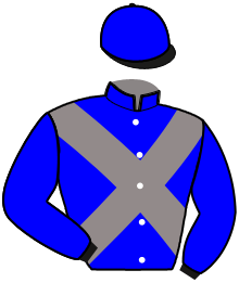 casaque portée par Lelievre Meh. jockey du cheval de course ILEPSON, information pmu ZETURF