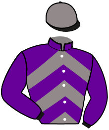 casaque portée par Senet J.F. jockey du cheval de course KELOWA STARDUST, information pmu ZETURF