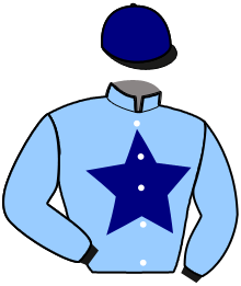 casaque portée par Raffestin J. jockey du cheval de course KOMAN, information pmu ZETURF