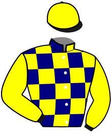casaque portée par Verva L. jockey du cheval de course IDOLE DE NAVARY, information pmu ZETURF