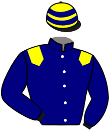casaque portée par Verva M. jockey du cheval de course JADE DE NAVARY, information pmu ZETURF