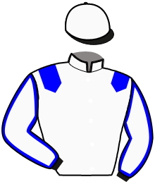 casaque portée par Gelormini G. jockey du cheval de course JOJO LAPIN, information pmu ZETURF