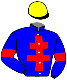 casaque portée par Le Lay Martin Adr. jockey du cheval de course SOLIWAY, information pmu ZETURF