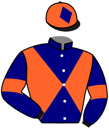 casaque portée par Molins Mme Amb. jockey du cheval de course DULINI, information pmu ZETURF