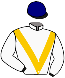 casaque portée par Guyon M. jockey du cheval de course SEIGNEUR, information pmu ZETURF