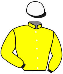 casaque portée par Collet-vidal Mlle C. jockey du cheval de course MOON RIDER, information pmu ZETURF