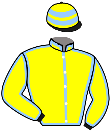 casaque portée par Grosso Mlle L. jockey du cheval de course QUEEN FLO, information pmu ZETURF