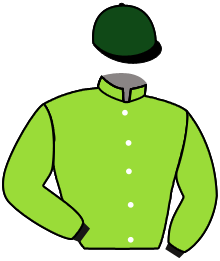 casaque portée par Demuro C. jockey du cheval de course SUMMER FLIRT, information pmu ZETURF