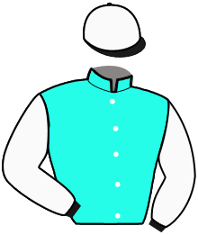 casaque portée par Ouvrie F. jockey du cheval de course ERGA OMNES PAR, information pmu ZETURF