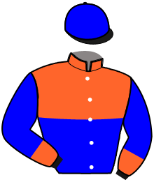casaque portée par Lagadeuc F. jockey du cheval de course EBRIUS, information pmu ZETURF