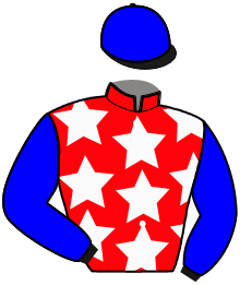 casaque portée par Norberg Mlle M. jockey du cheval de course NECTAR OCCAGNES, information pmu ZETURF