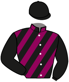 casaque portée par Abrivard M. jockey du cheval de course CARL HALBAK, information pmu ZETURF