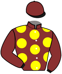 casaque portée par Mottier M. jockey du cheval de course HORS SAISON, information pmu ZETURF