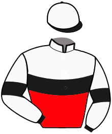 casaque portée par Martens C. jockey du cheval de course CANTAB AS, information pmu ZETURF