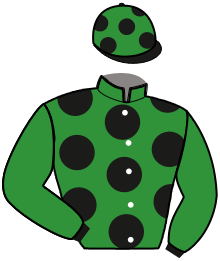 casaque portée par Lagadeuc F. jockey du cheval de course GETEHI DU NOYER, information pmu ZETURF