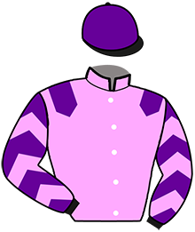 casaque portée par Abrivard M. jockey du cheval de course EUNIS DU PATURAL, information pmu ZETURF