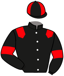 casaque portée par Gilard M. jockey du cheval de course HOLD UP DES VENTES, information pmu ZETURF