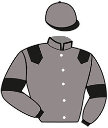 casaque portée par Dagnicourt Ch. jockey du cheval de course LE POETE BOURBON, information pmu ZETURF