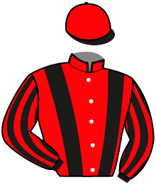casaque portée par Abrivard A. jockey du cheval de course LIQUIDATEUR, information pmu ZETURF