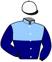 casaque portée par Abrivard M. jockey du cheval de course LOTUS GRIFF, information pmu ZETURF